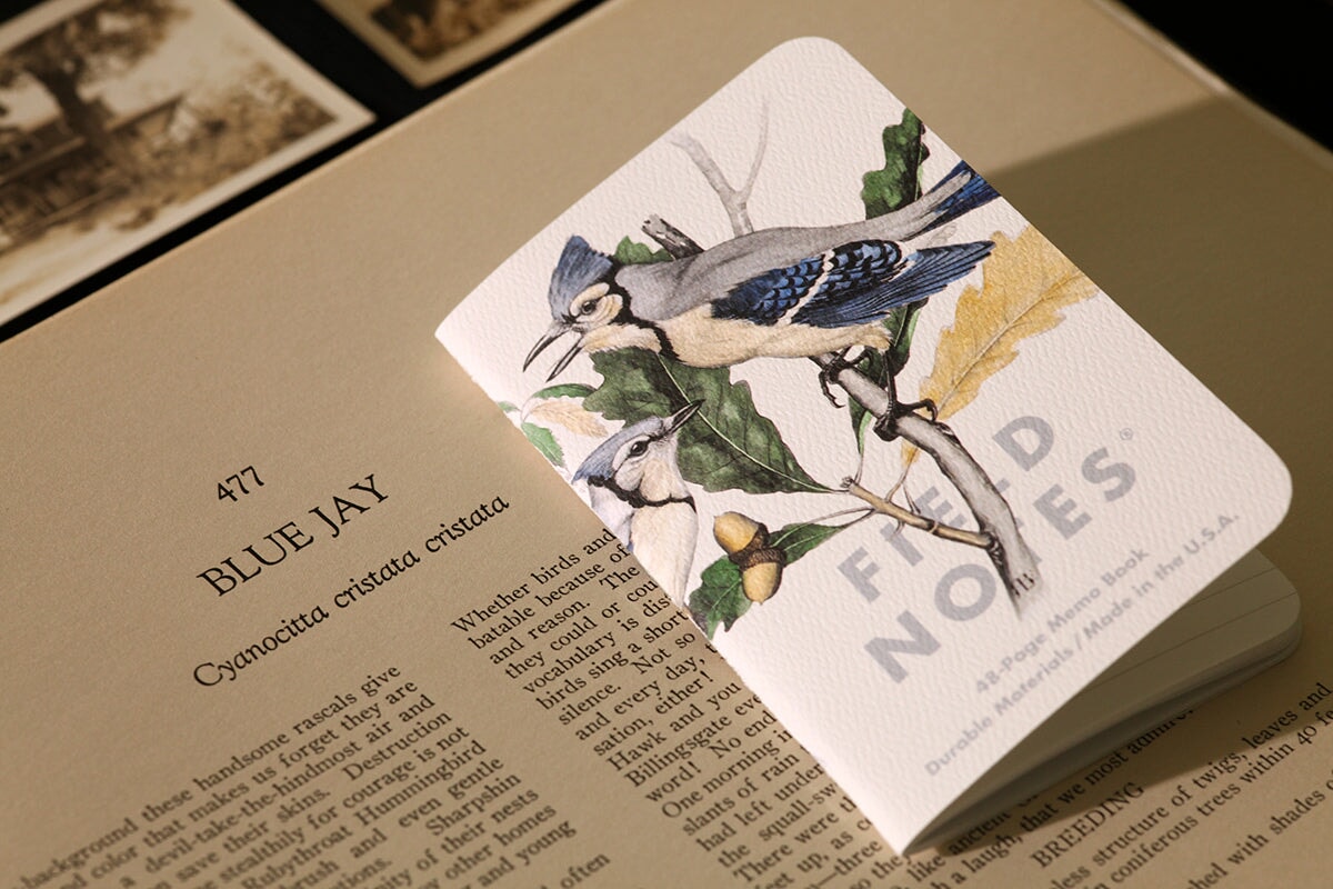 Field Notes "Birds & Trees of North America" Pack 3-Pack Notizheft Notizhefte Field Notes