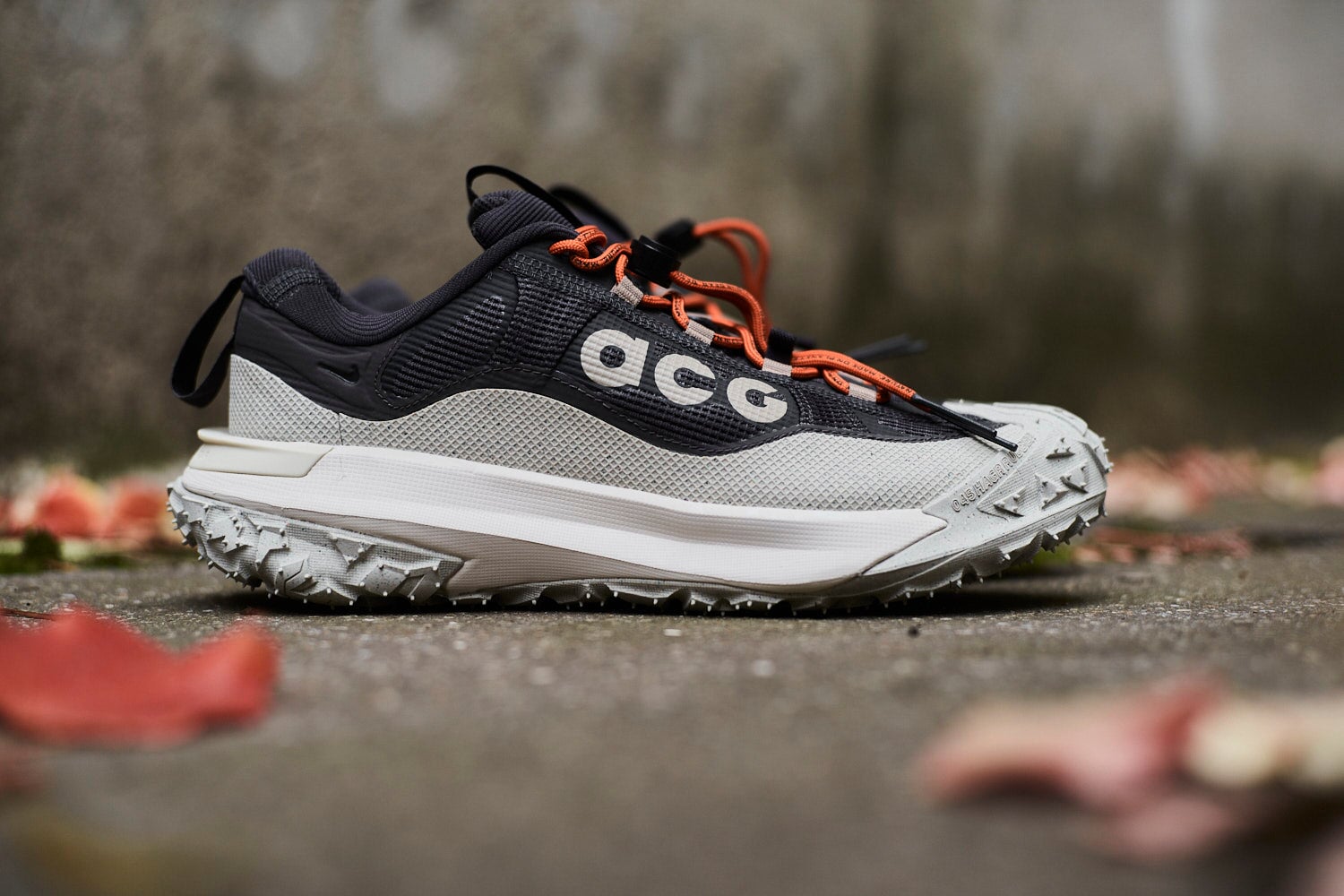 Nike ACG Mountain Fly 2 Low GTX Unisex Schuhe Outdoor-Schuhe Nike ACG