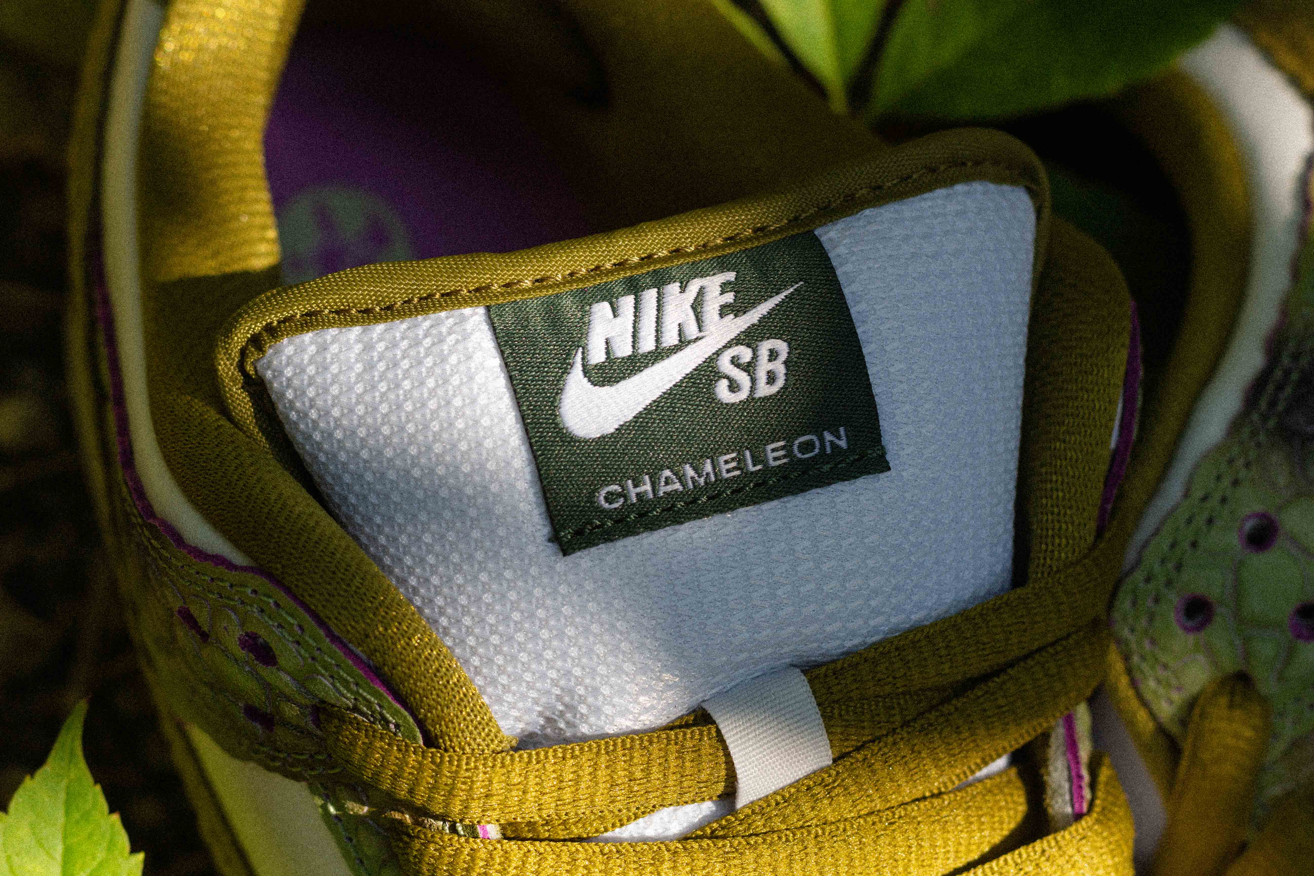 Nike SB Dunk Low Pro x Alexis Sablone "Chameleon" Skate Schuhe Unisex Skate-Sneakers Nike Skateboarding