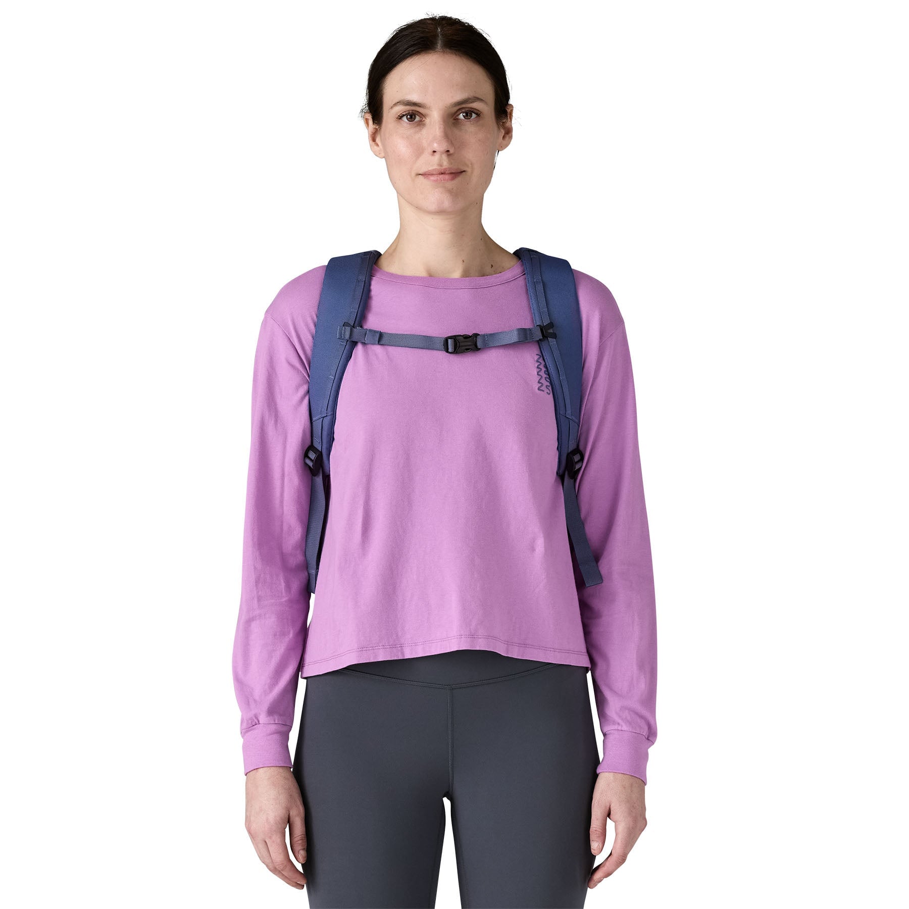 Patagonia Black Hole Pack 25L Rucksack Rucksack Patagonia