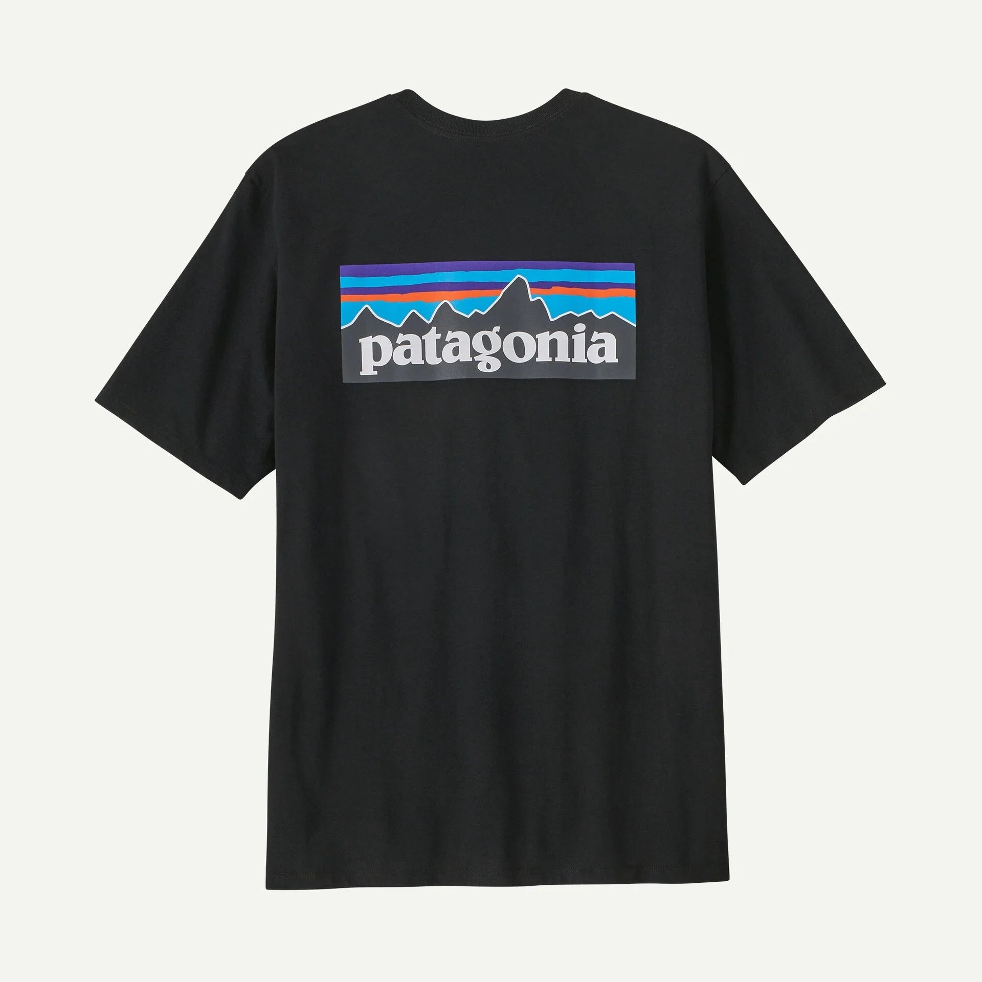 Patagonia P-6 Logo Responsibili-T-Shirt Herren T-Shirt Patagonia