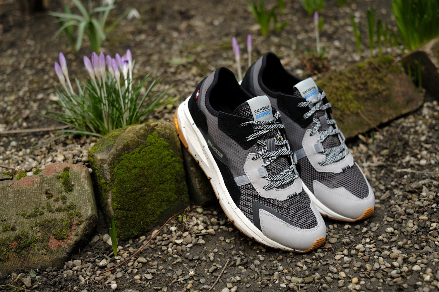 Dachstein Urban Move Herren Schuhe Anthrazit Trekkingschuhe Dachstein Schuhe