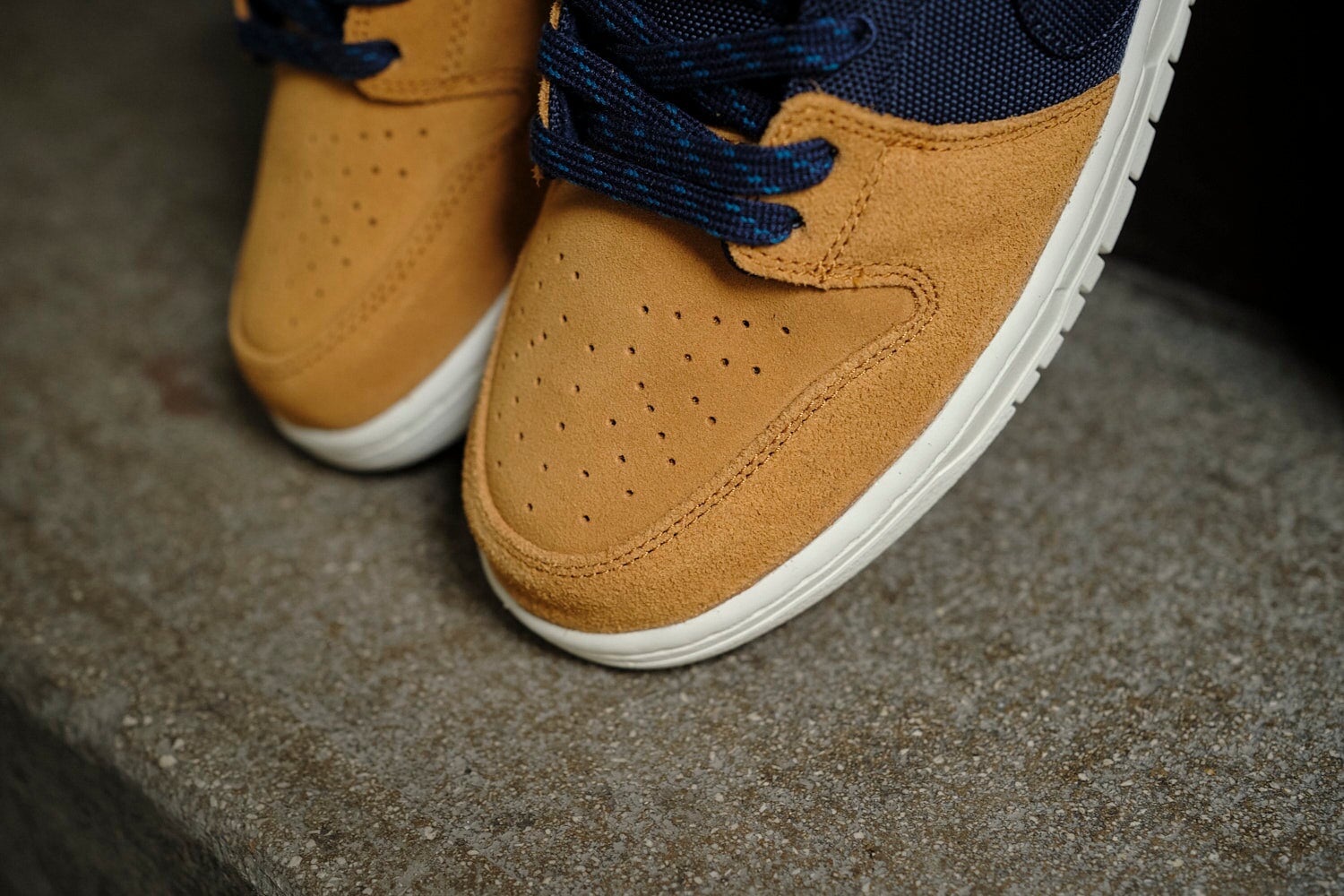 Nike SB Dunk Low Pro Premium "90's Backpack" Sneaker Nike Skateboarding