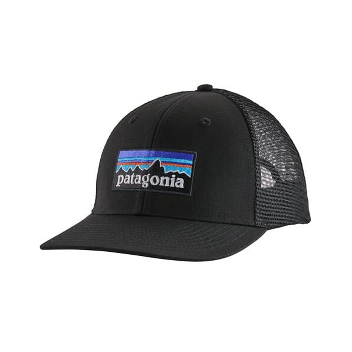 Patagonia P-6 Logo Trucker Cap Cap Patagonia