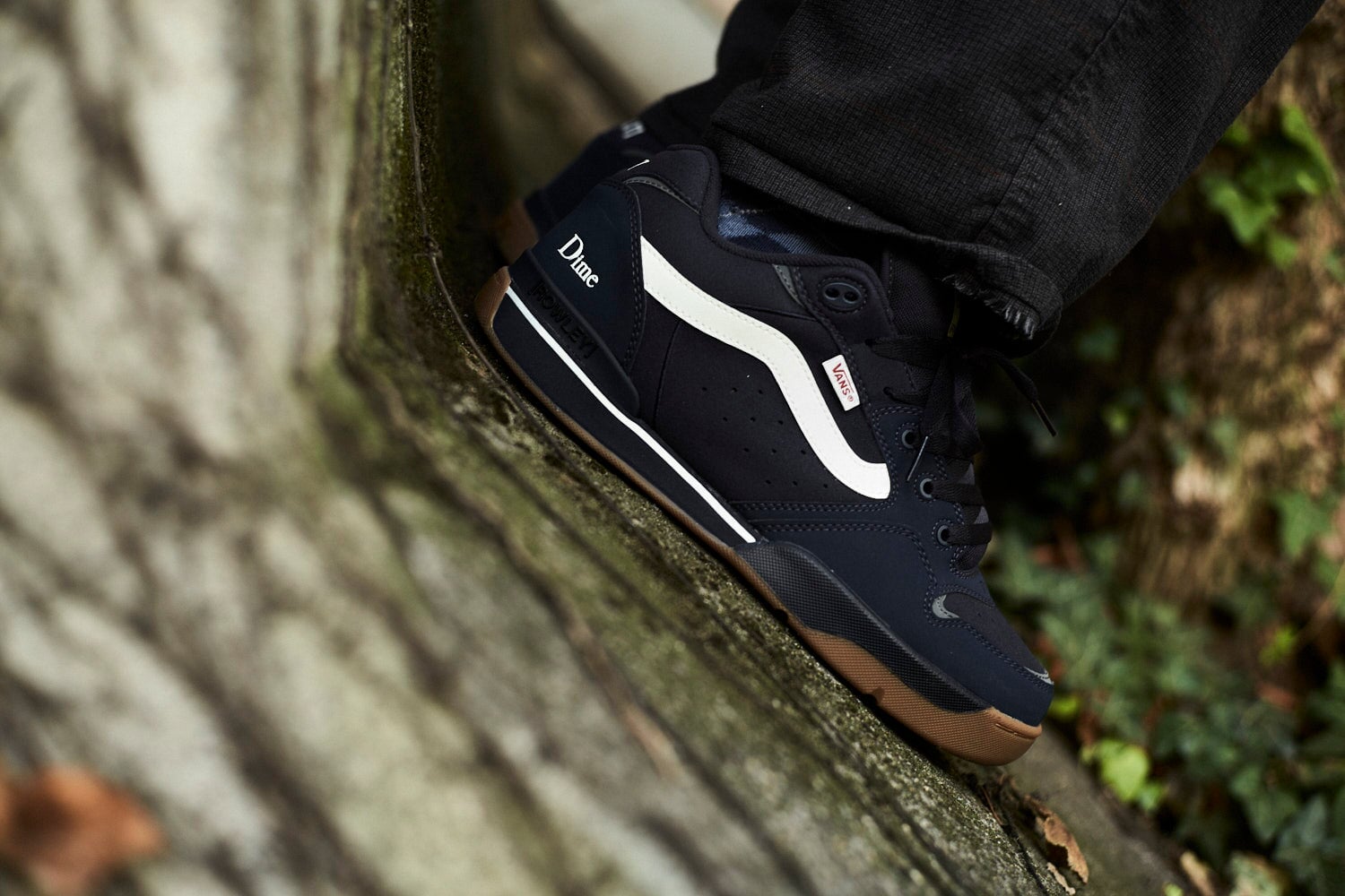 Vans X Dime Rowley Xlt Herren Skate Schuhe Sneaker Vans