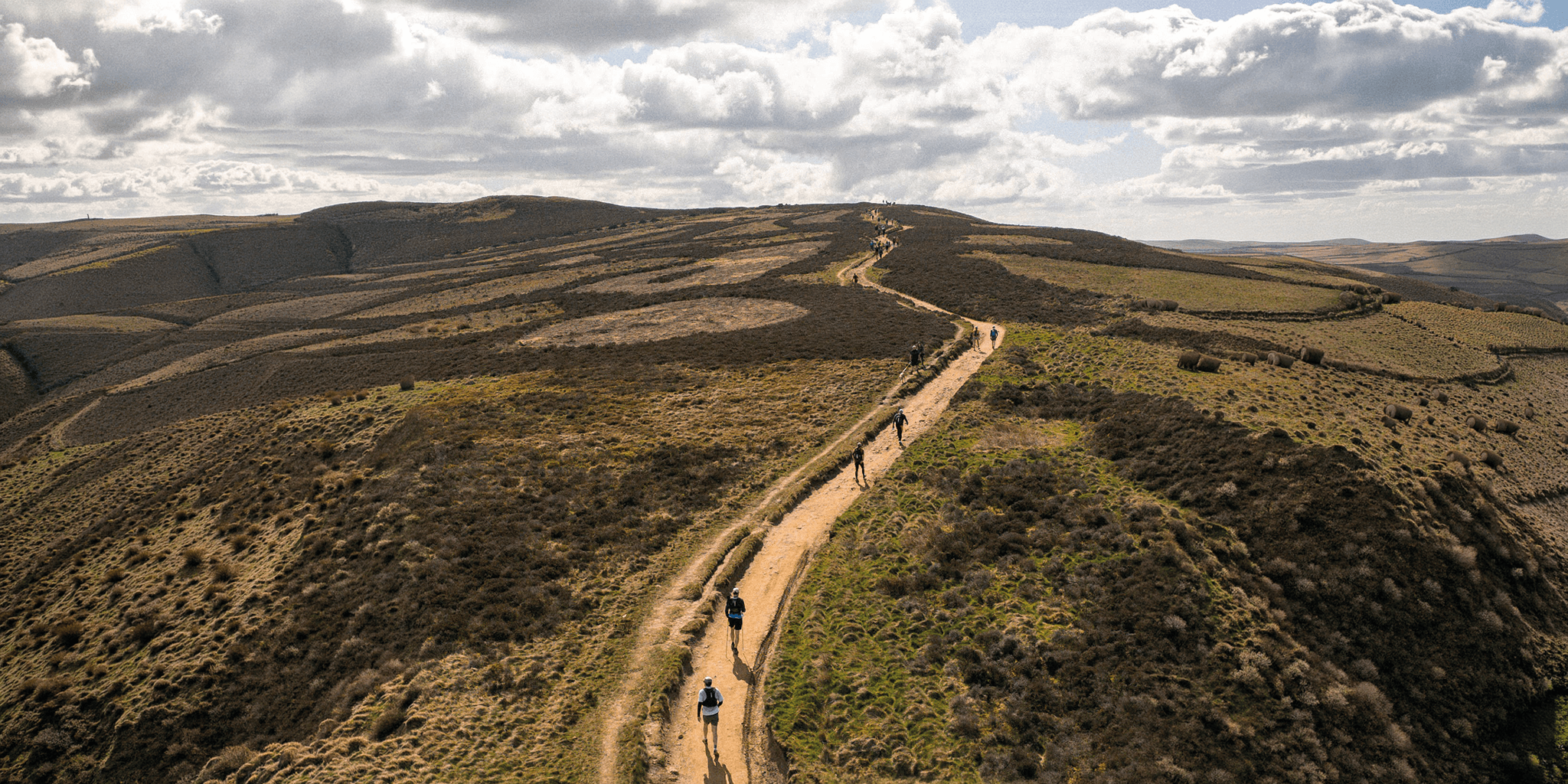 Patagonia