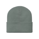 W Ashley Beanie Velvet Green Bild 2