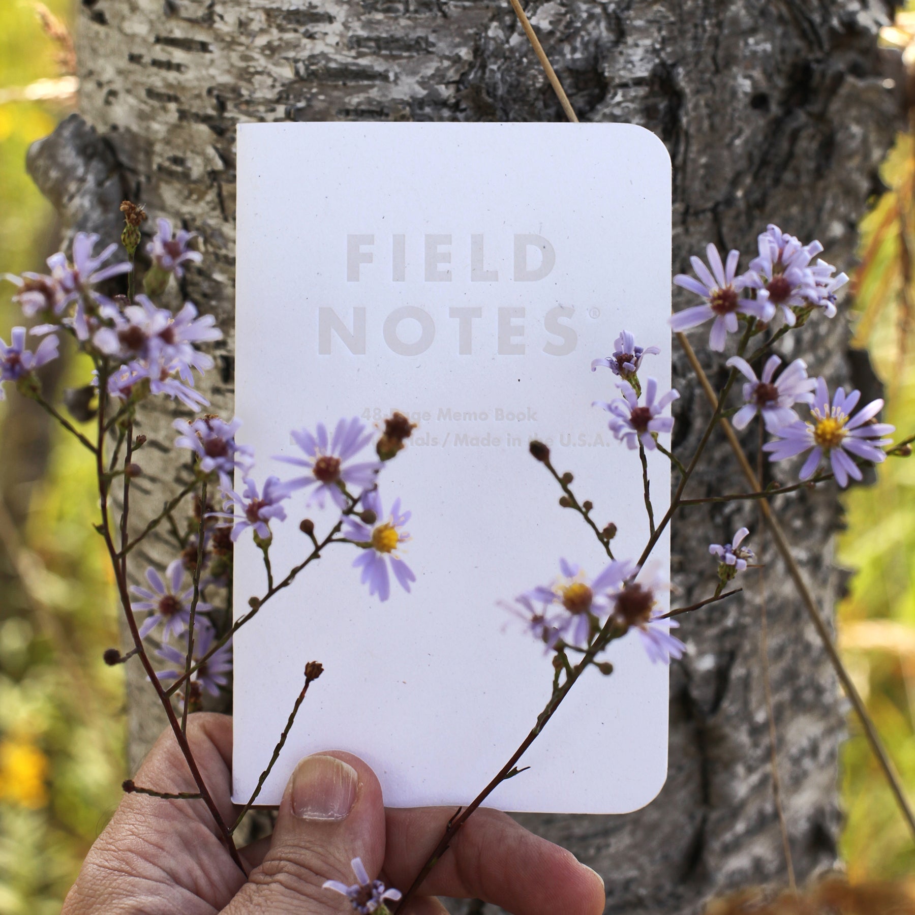 Field Notes "Birch Bark" 3-Pack Notizheft Notizhefte Field Notes 