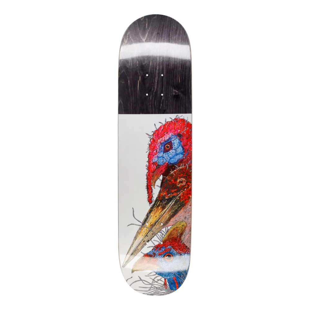 Birds 8,375 Multicolored Bild 1