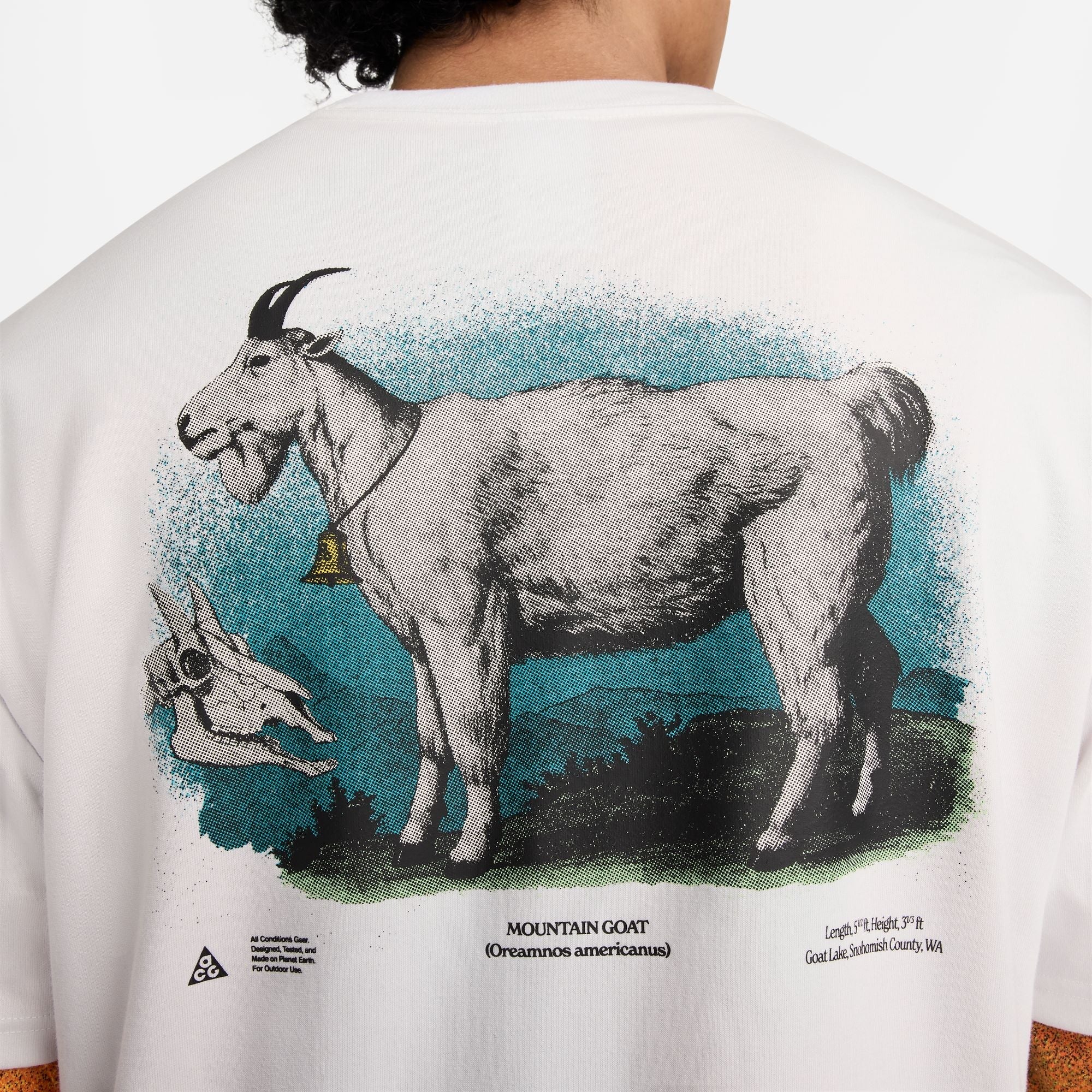 Nike ACG Dri-FIT Goat T-Shirt Herren T-Shirt Nike ACG 