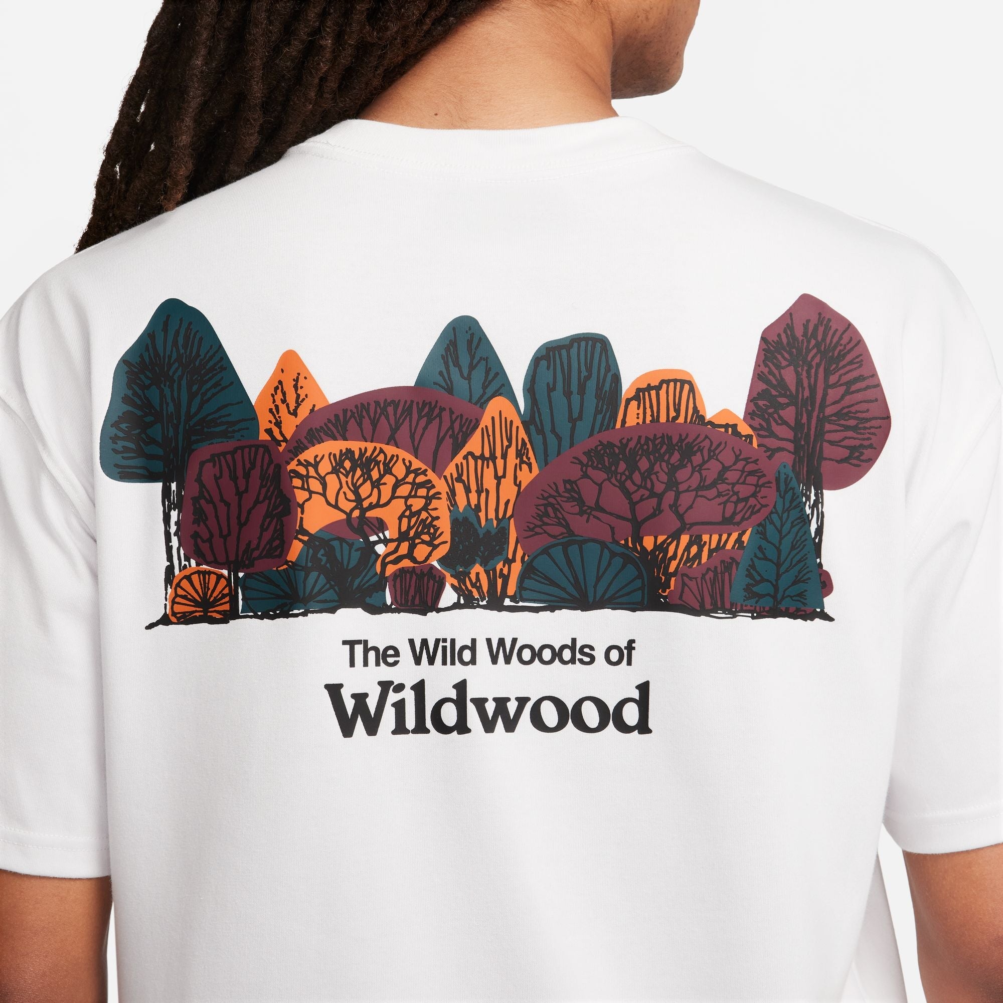 Nike ACG Wildwood T-Shirt Herren T-Shirt Nike ACG 