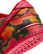 Nike Dunk SB Low "Wizard of OZ" Sneakers Unisex Skate-Sneakers Nike Skateboarding 