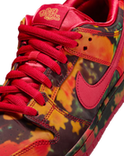 Nike Dunk SB Low "Wizard of OZ" Sneakers Unisex Skate-Sneakers Nike Skateboarding 