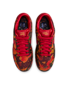 Nike Dunk SB Low "Wizard of OZ" Sneakers Unisex Skate-Sneakers Nike Skateboarding 