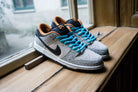 Nike SB Dunk Low Pro PRM "Electric" Skate Schuhe Herren Skate-Sneakers Nike Skateboarding 