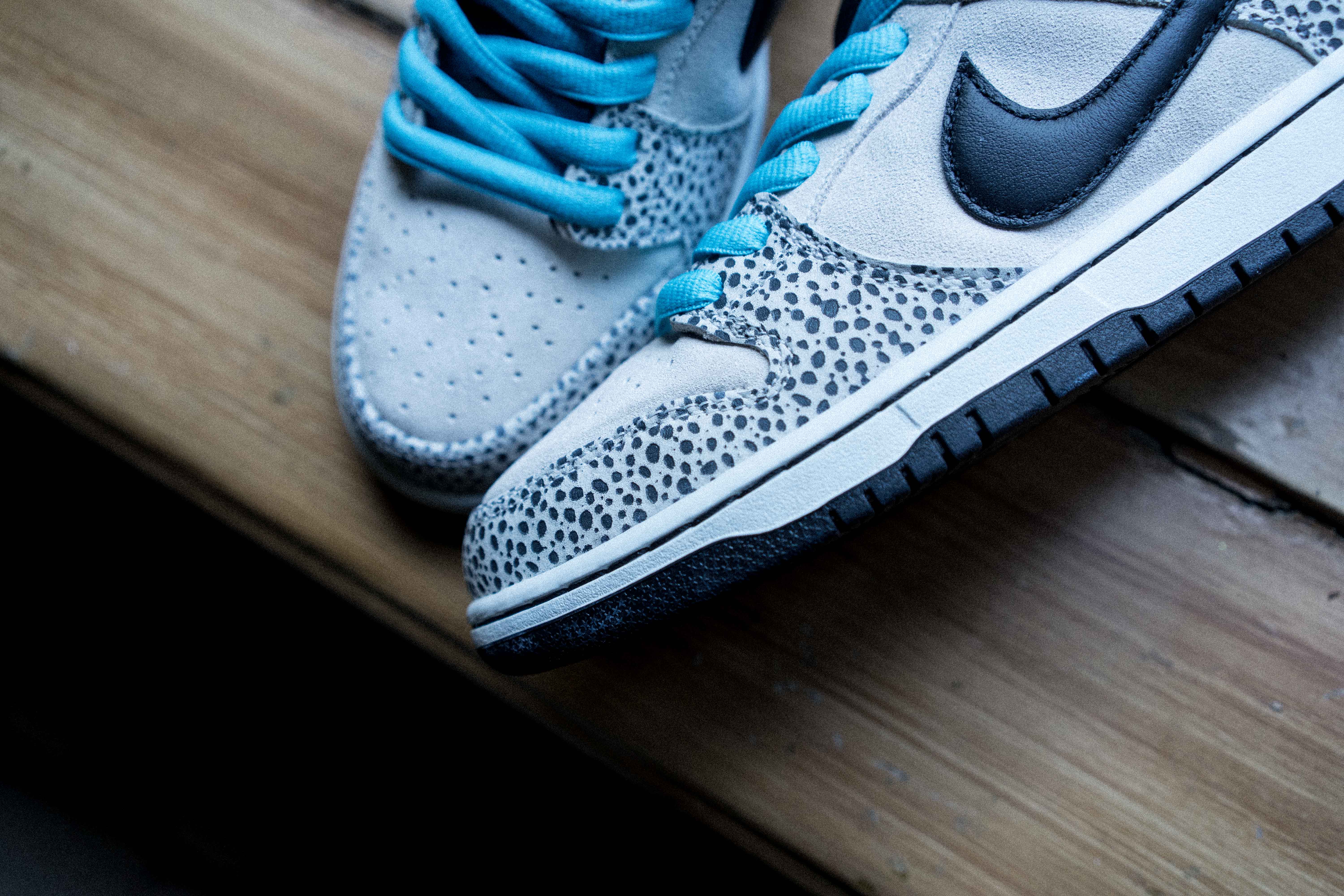 dunk elephant on feet