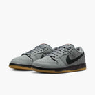 Nike SB Dunk Low Pro Skate Schuhe Herren Skate-Sneakers Nike Skateboarding 