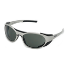 Wingseph Silver/Black Bild 1