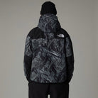 The North Face Mountain Mono Jacke Herren Regenjacke The North Face 